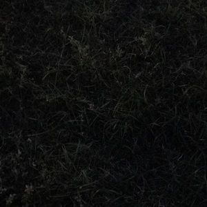 Meet your Posher, Jasmeet